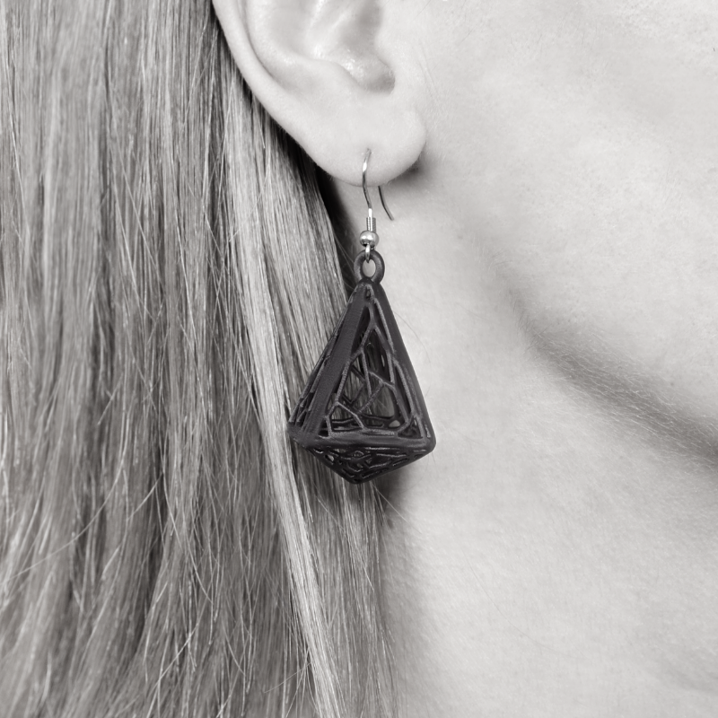 The Moon Earrings